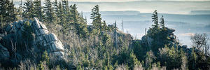 Landschaft im Harz